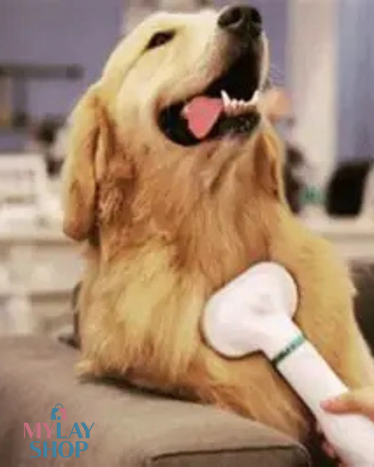 Cepillo Secador Para Mascotas 2 En 1